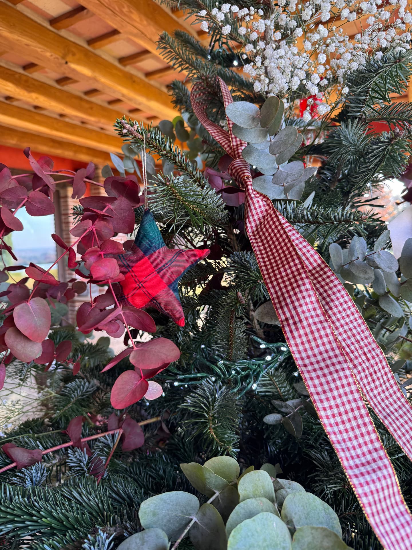 Decoració de Nadal en una casa particular 4